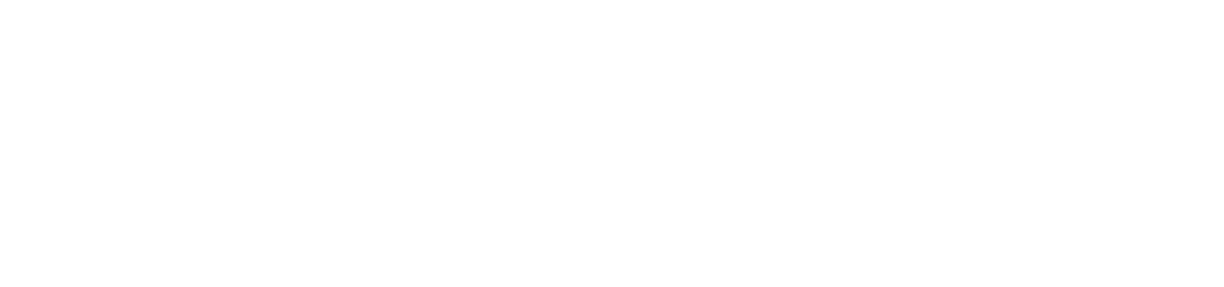 Akrys AI Healthcare Private Limited